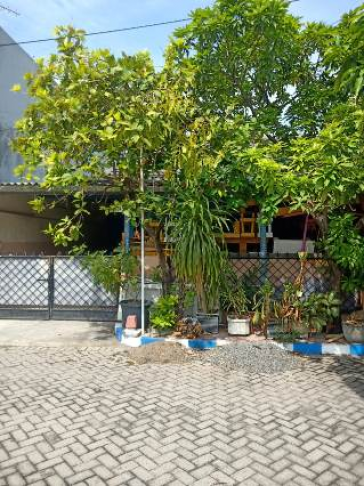 779. Dijual rumah murah di Perum Pandugo Baru, Rungkut Surabaya